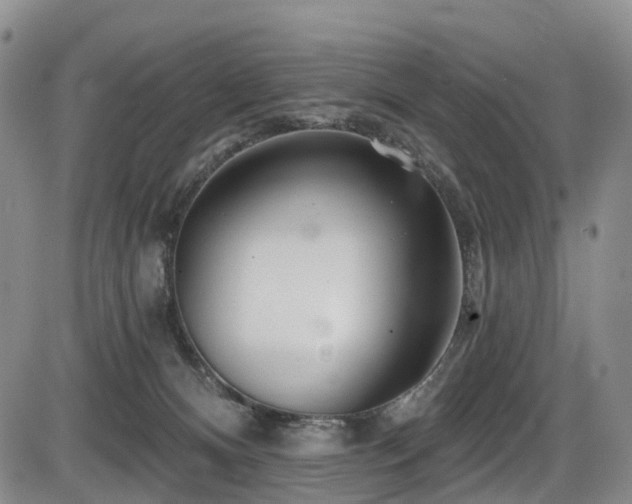 X0000086300128200703301212