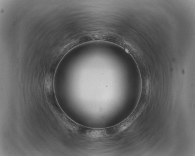 X0000086300129200703301212