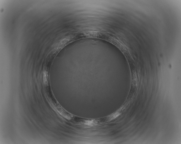 X0000086300130200703301212