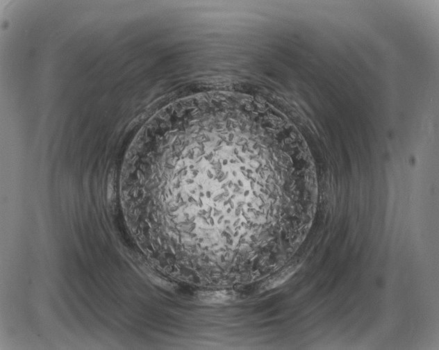 X0000086300131200703301212