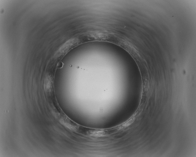 X0000086300132200703301212