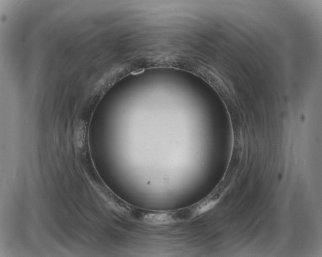 X0000086300133200703301212