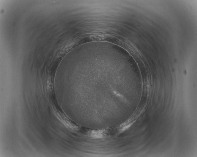 X0000086300134200703301212