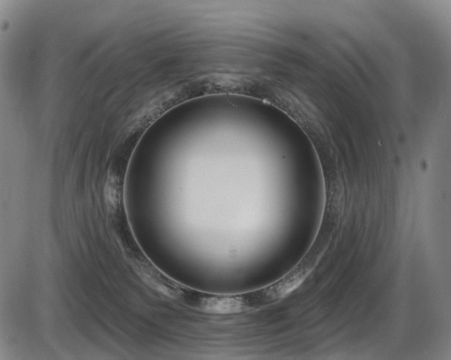 X0000086300135200703301212