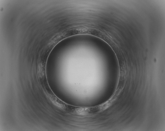 X0000086300136200703301212