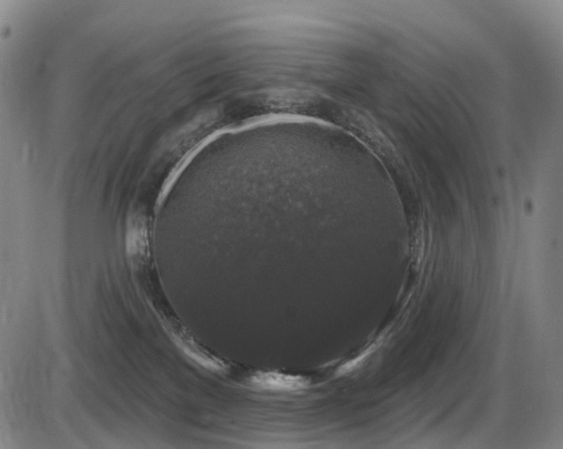 X0000086300137200703301212