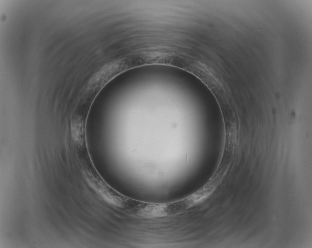 X0000086300138200703301212