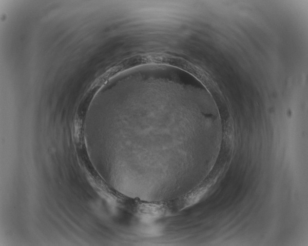 X0000086300139200703301212