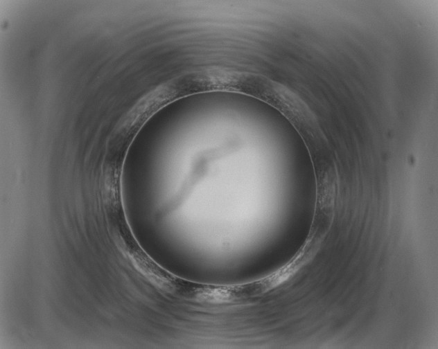 X0000086300140200703301212