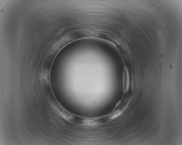 X0000086300141200703301212