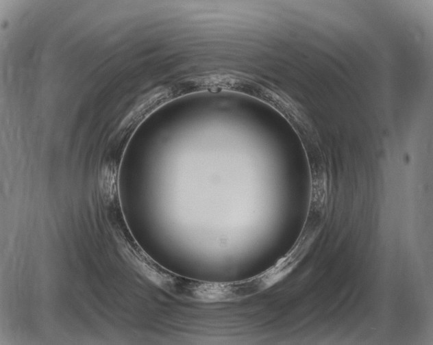 X0000086300142200703301212