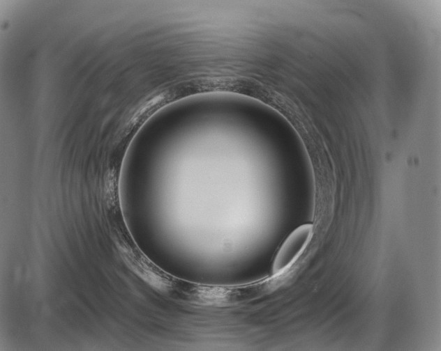 X0000086300144200703301212