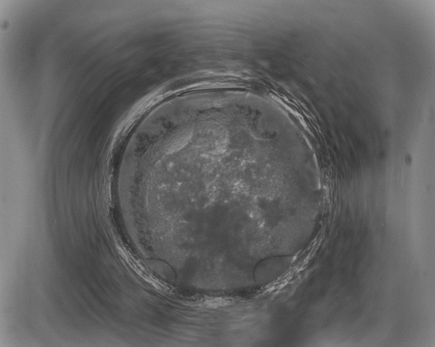 X0000086300149200703301211