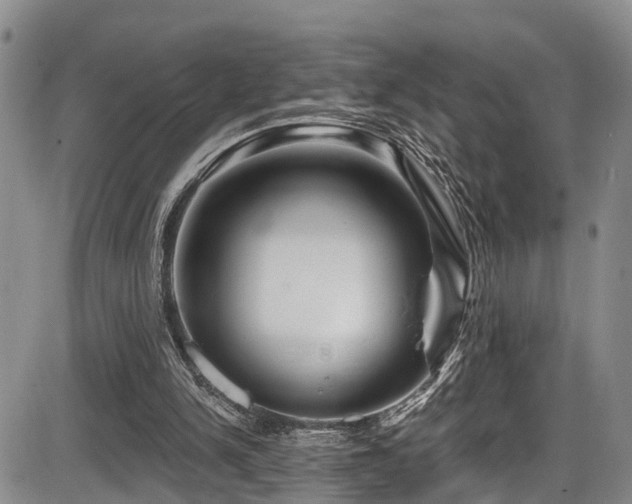 X0000086300150200703301211