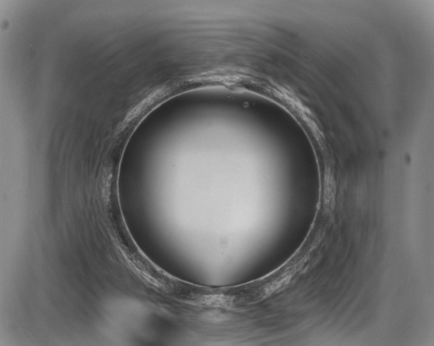 X0000086300153200703301211