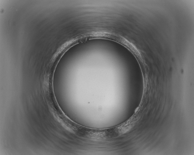 X0000086300155200703301211