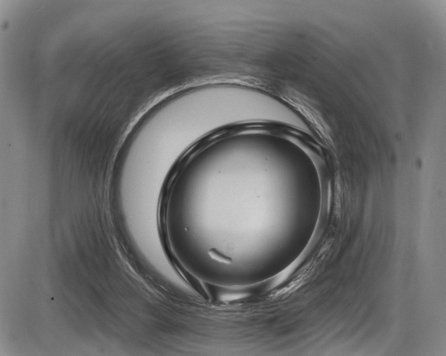 X0000086300156200703301211