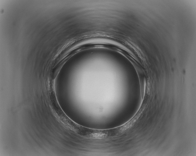 X0000086300158200703301211