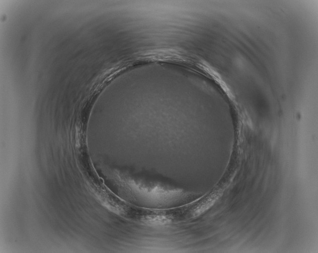 X0000086300161200703301211