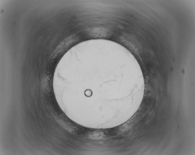 X0000086300162200703301211