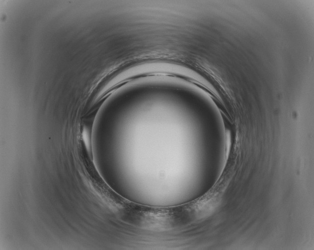 X0000086300164200703301211