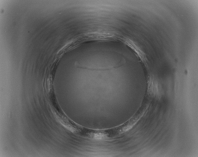 X0000086300165200703301211