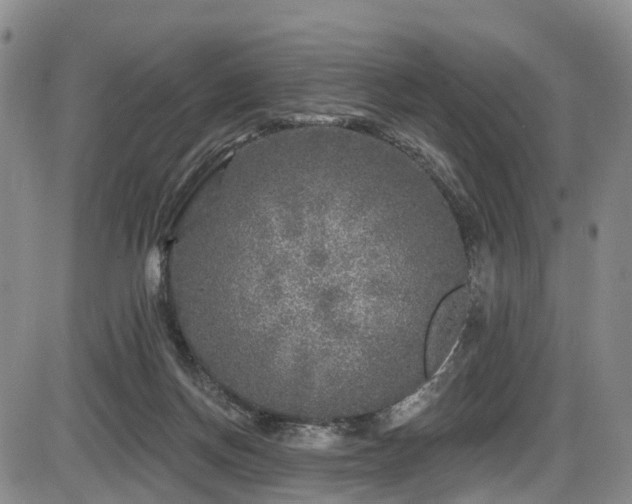 X0000086300166200703301211