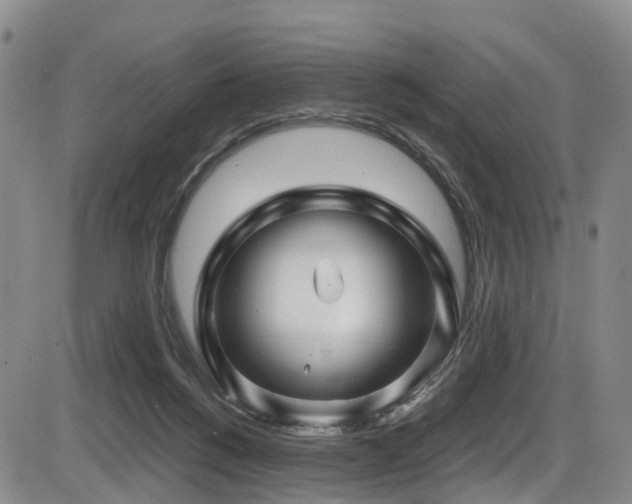 X0000086300168200703301211