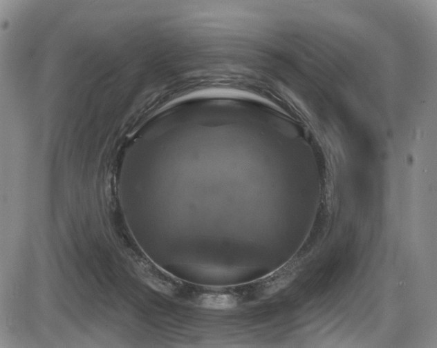 X0000086300169200703301211