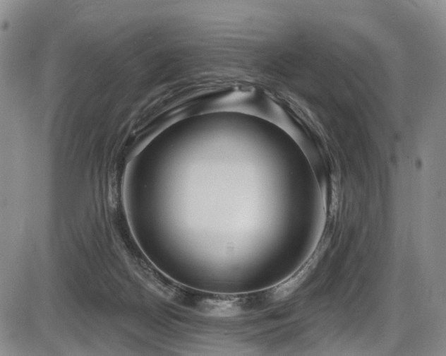 X0000086300170200703301211