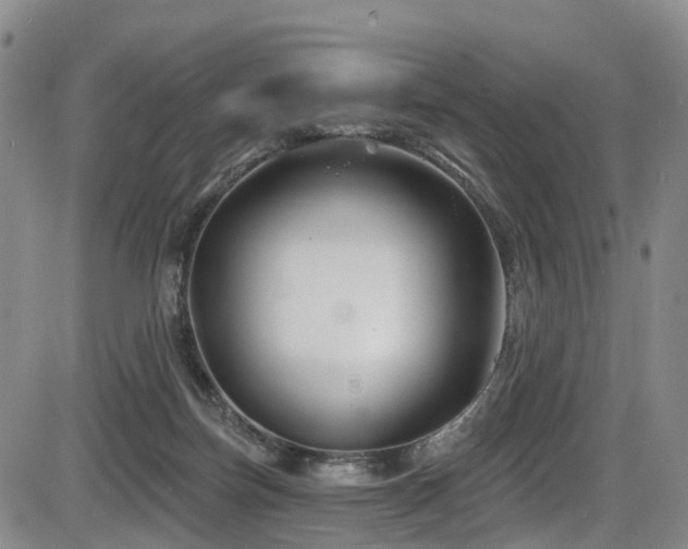 X0000086300171200703301211