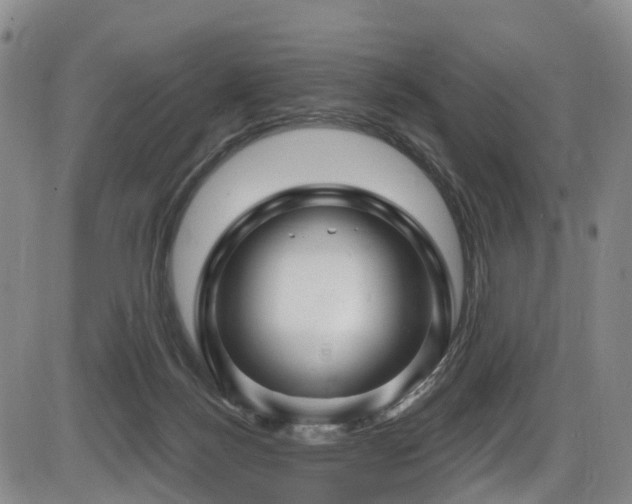 X0000086300172200703301211