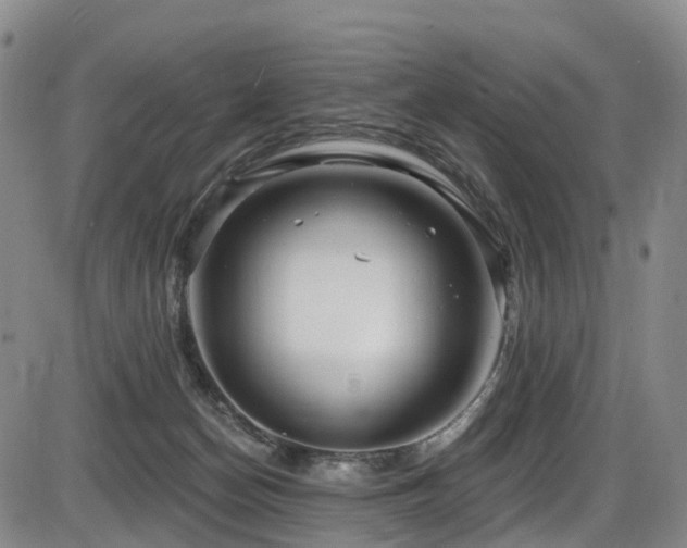 X0000086300174200703301211