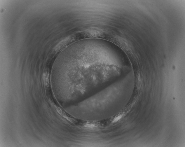 X0000086300177200703301211