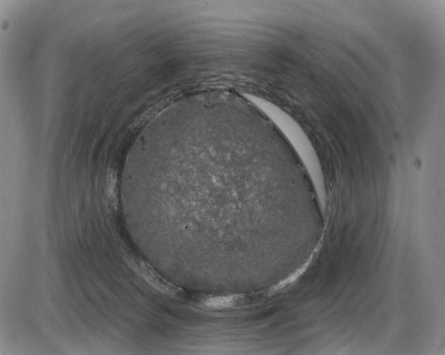 X0000086300178200703301211