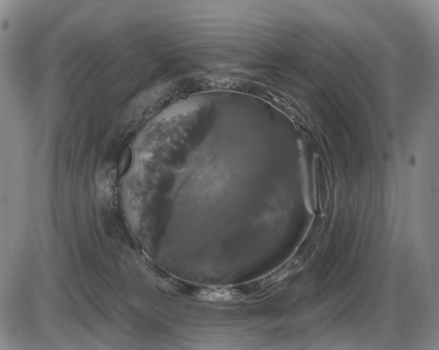 X0000086300181200703301211