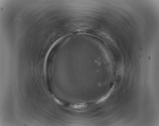 X0000086300182200703301212