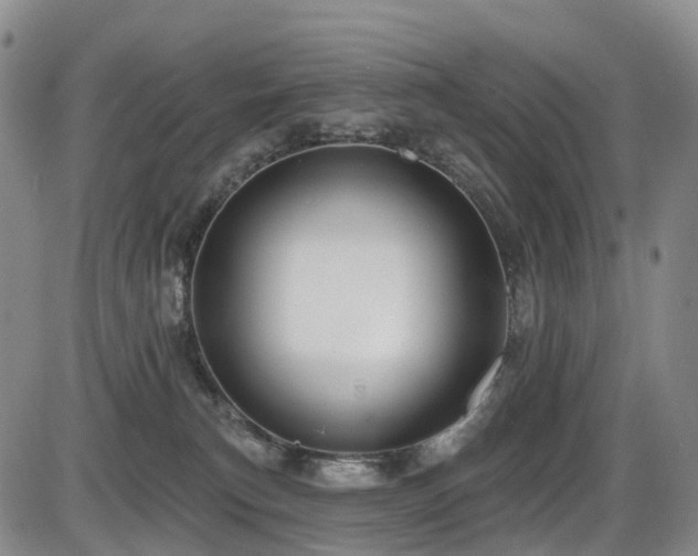 X0000086300183200703301212