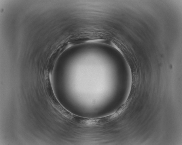 X0000086300184200703301212