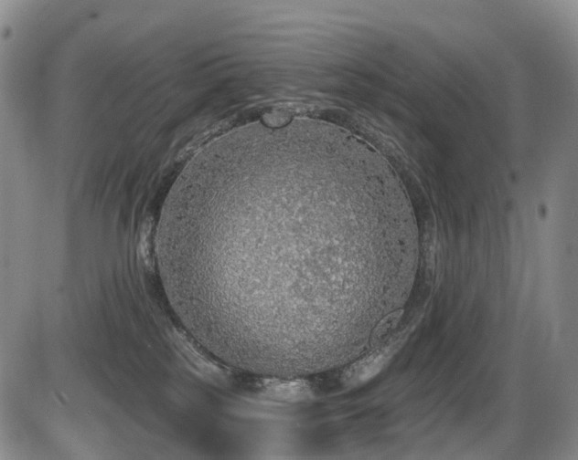 X0000086300185200703301212