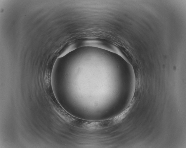 X0000086300186200703301212