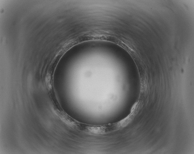 X0000086300187200703301212