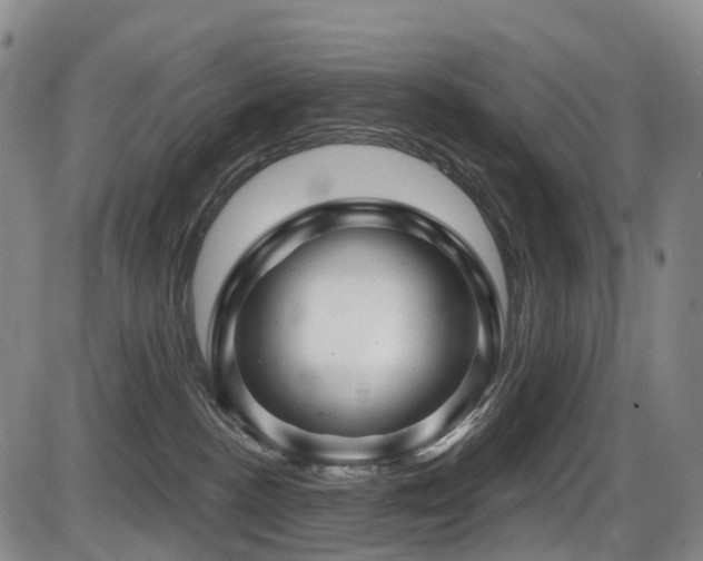 X0000086300188200703301212