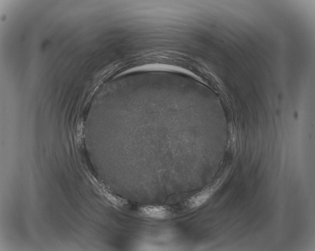 X0000086300189200703301212