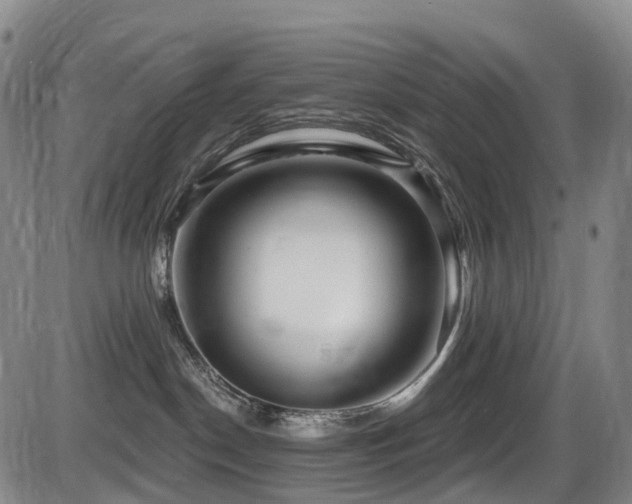 X0000086300190200703301212