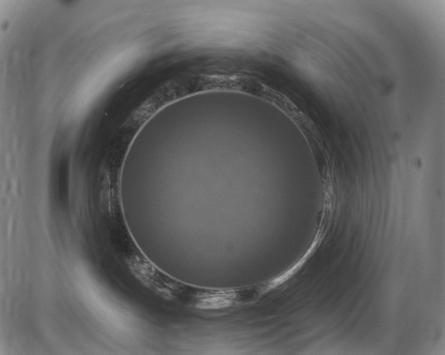 X0000086300191200703301212