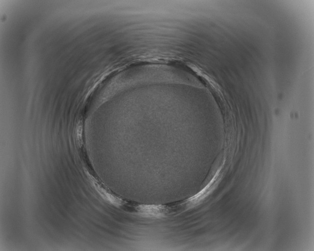 X0000086300192200703301212