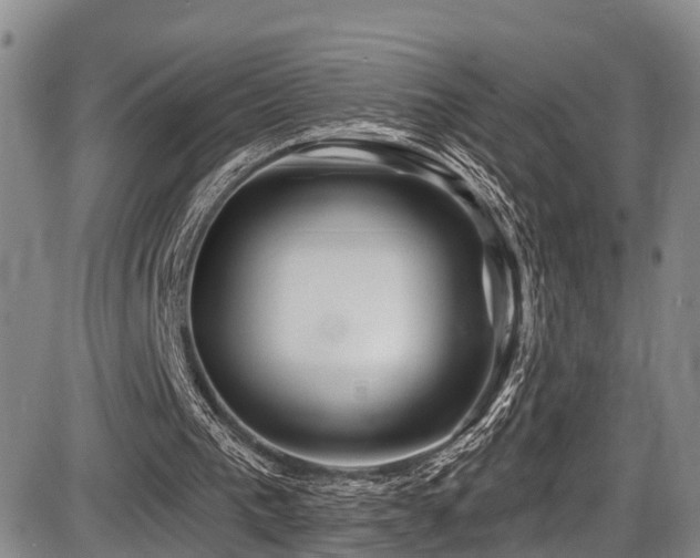 X0000086300193200703301211