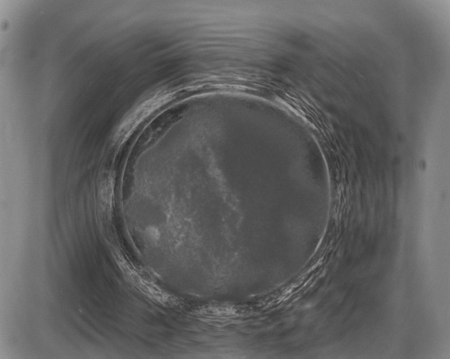 X0000086300194200703301211