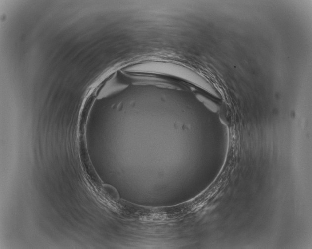 X0000086300196200703301211